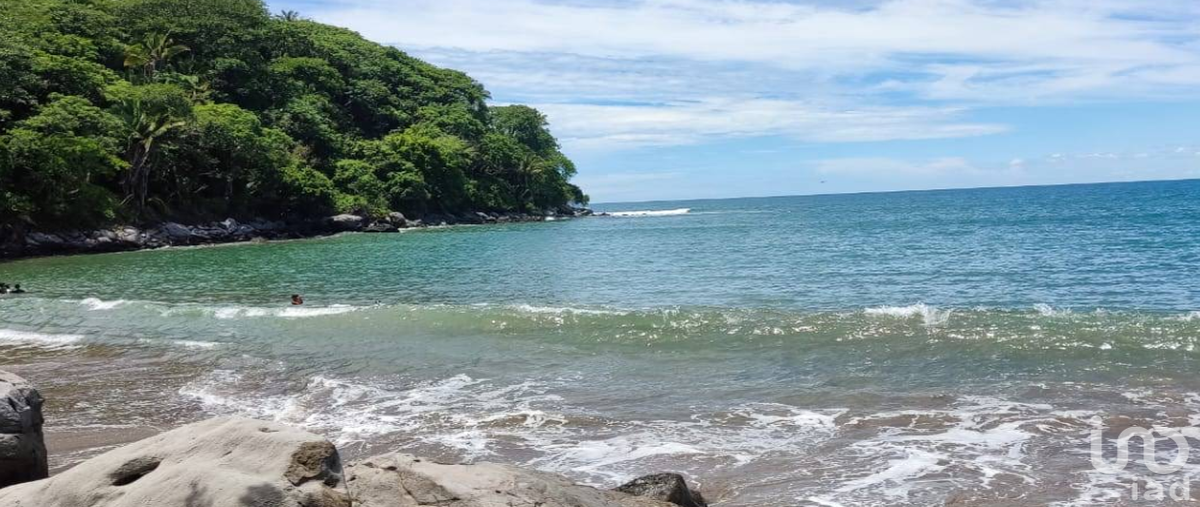 Foto de terreno comercial en venta en custodio , ixtapa de la concepción, compostela, nayarit, 29937592 No. 04