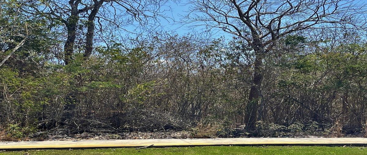 Foto de terreno habitacional en venta en cutzam , yucatán country club, mérida, yucatán, 30922904 No. 05