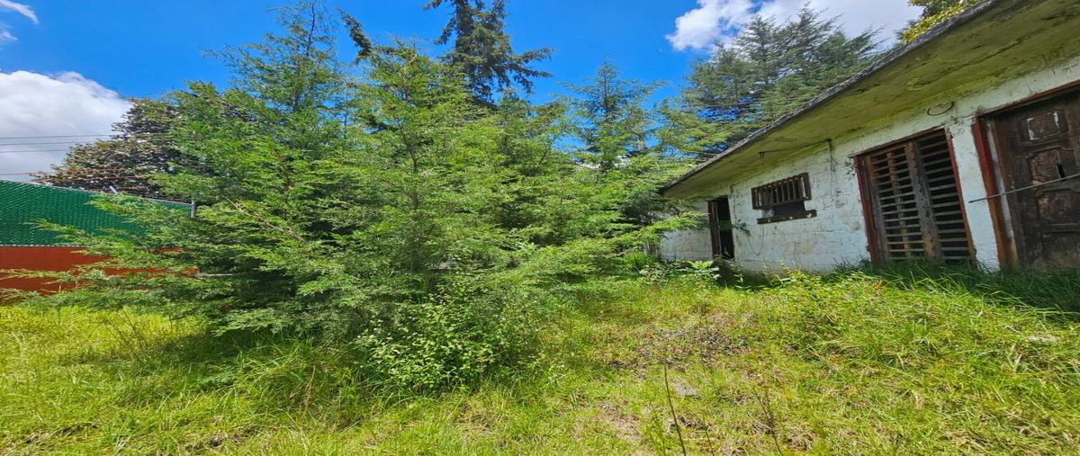 Foto de terreno habitacional en venta en  , cuxtitali, san cristóbal de las casas, chiapas, 30316592 No. 03