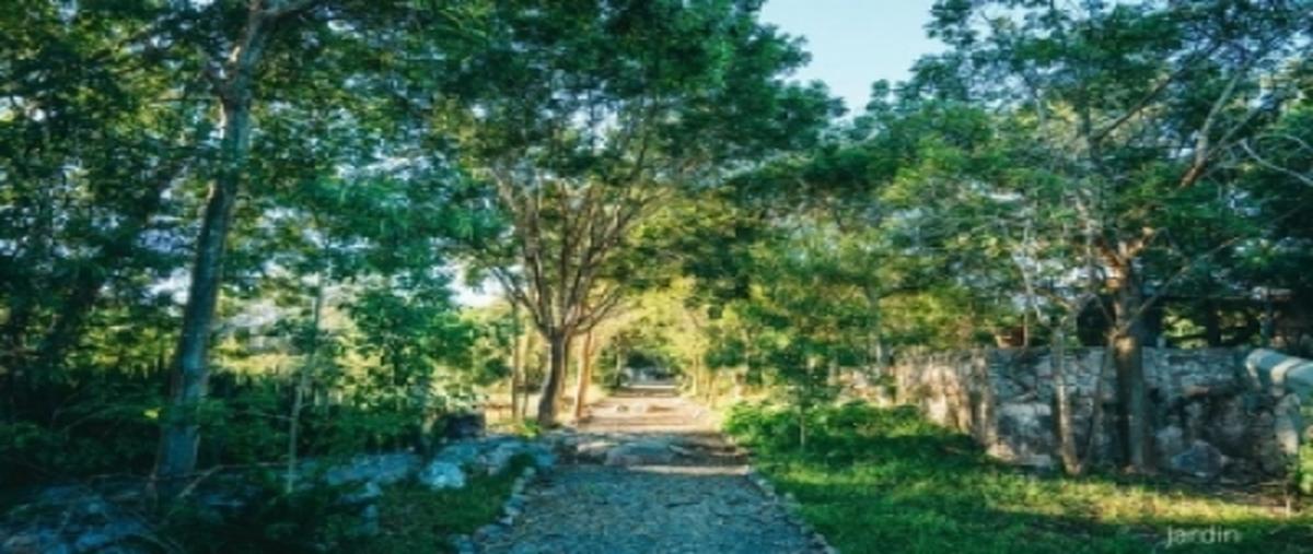 Foto de rancho en venta en cuzama , chunkanan, cuzamá, yucatán, 25234433 No. 06