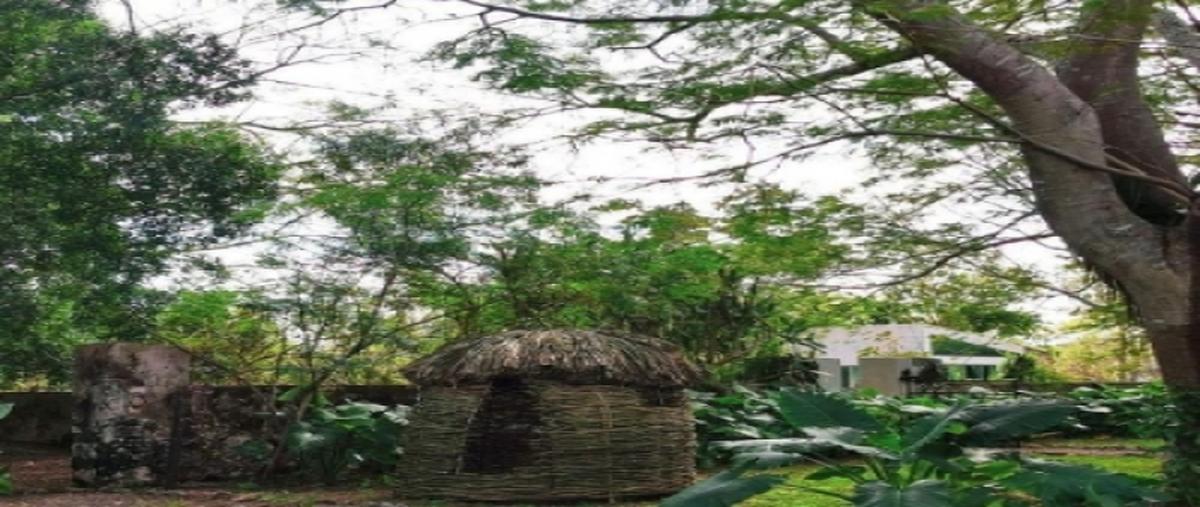Foto de rancho en cuzama , chunkanan, cuzamá, yucatán, 25234433 foto 07 Foto de rancho en venta en cuzama , chunkanan, cuzamá, yucatán, 25234433 No. 07