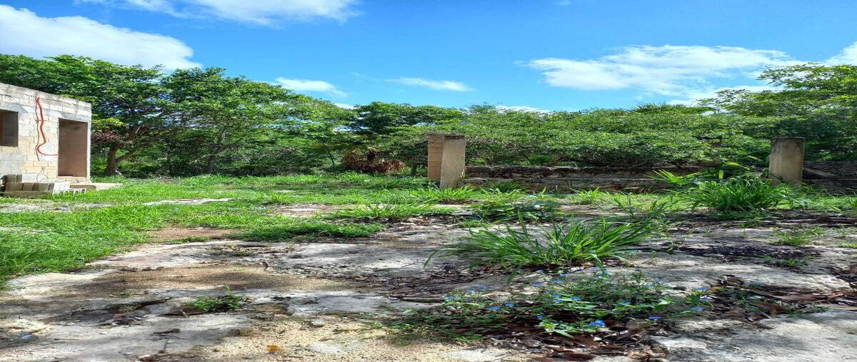 Foto de terreno habitacional en , cuzama, cuzamá, yucatán, 0 foto 03 Foto de terreno habitacional en venta en , cuzama, cuzamá, yucatán, 0 No. 03