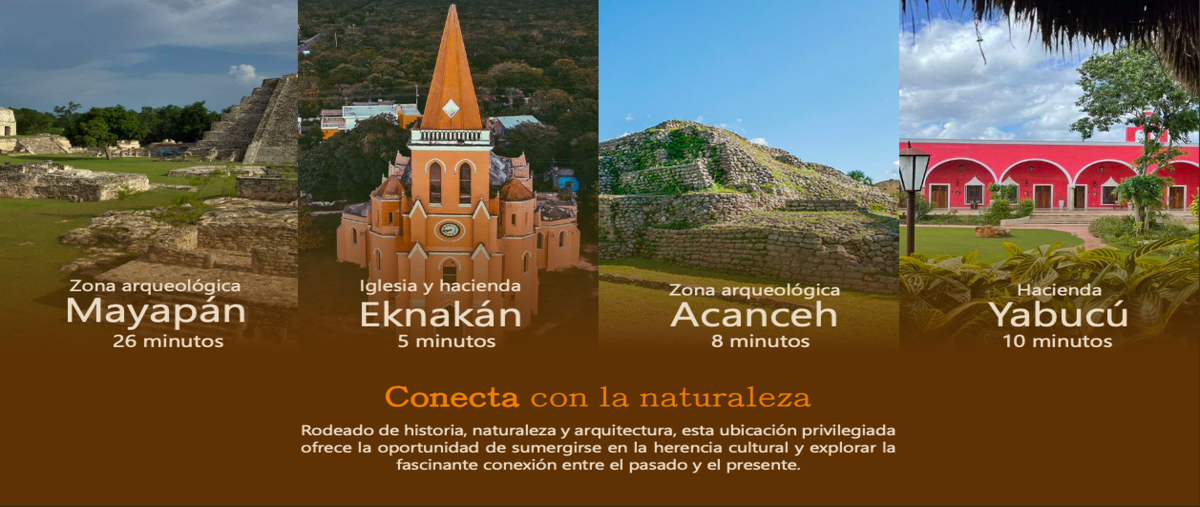 Foto de terreno habitacional en venta en  , cuzama, cuzamá, yucatán, 0 No. 03