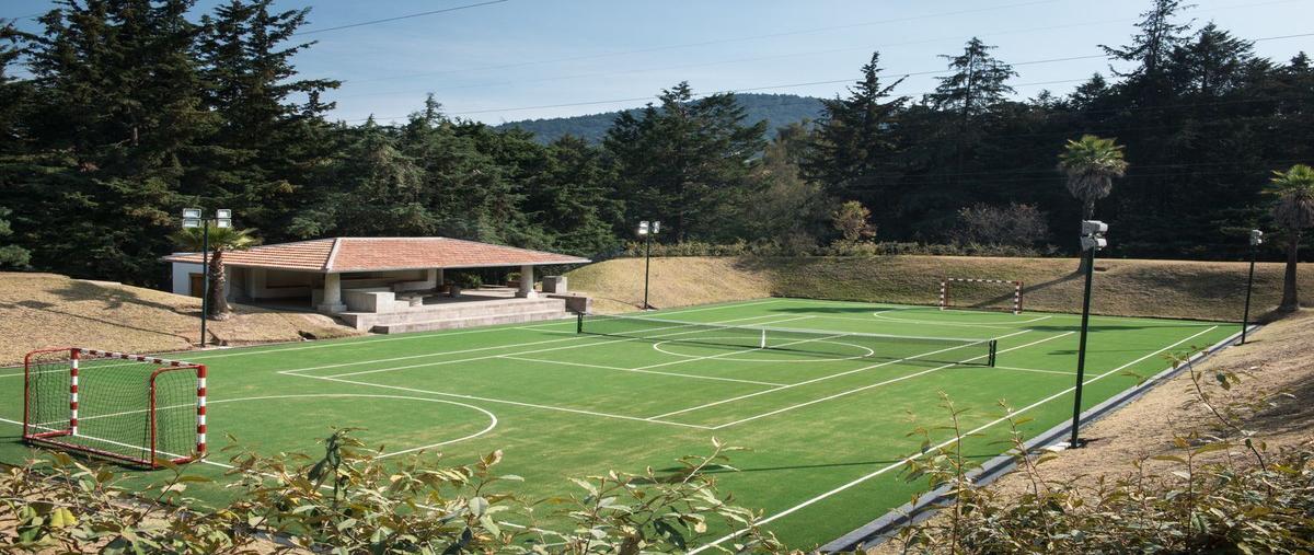 Foto de departamento en venta en d , olivar de los padres, álvaro obregón, df / cdmx, 25968482 No. 04