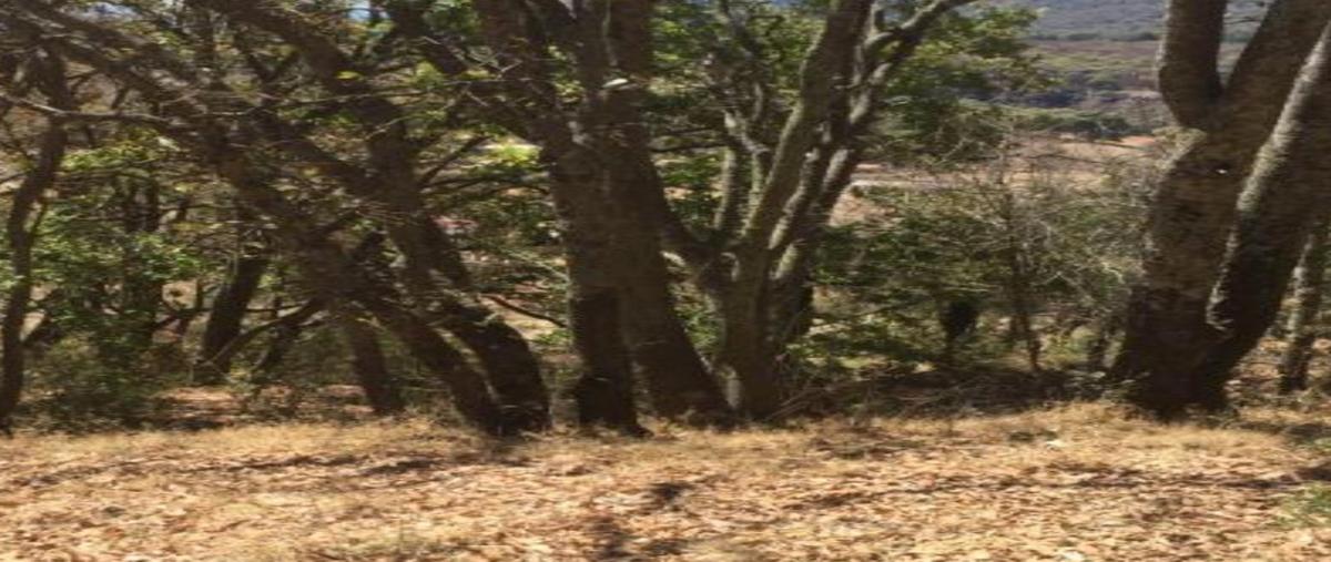 Foto de terreno habitacional en , damate, chapa de mota, méxico, 26797079 foto 01 Foto de terreno habitacional en venta en , damate, chapa de mota, méxico, 26797079 No. 01