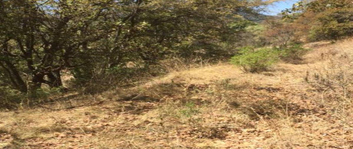 Foto de terreno habitacional en , damate, chapa de mota, méxico, 26797079 foto 02 Foto de terreno habitacional en venta en , damate, chapa de mota, méxico, 26797079 No. 02