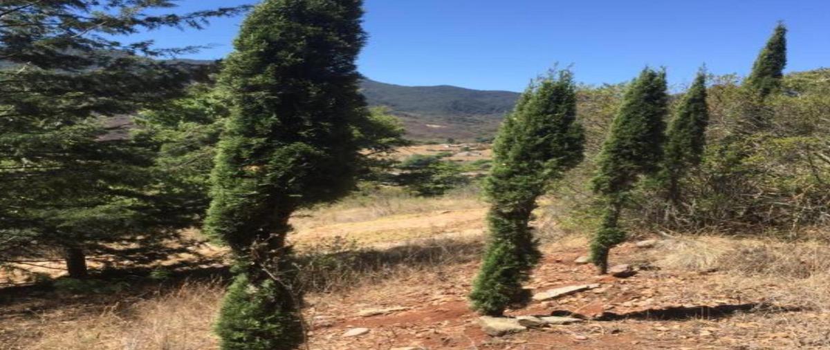 Foto de terreno habitacional en , damate, chapa de mota, méxico, 26797079 foto 05 Foto de terreno habitacional en venta en , damate, chapa de mota, méxico, 26797079 No. 05