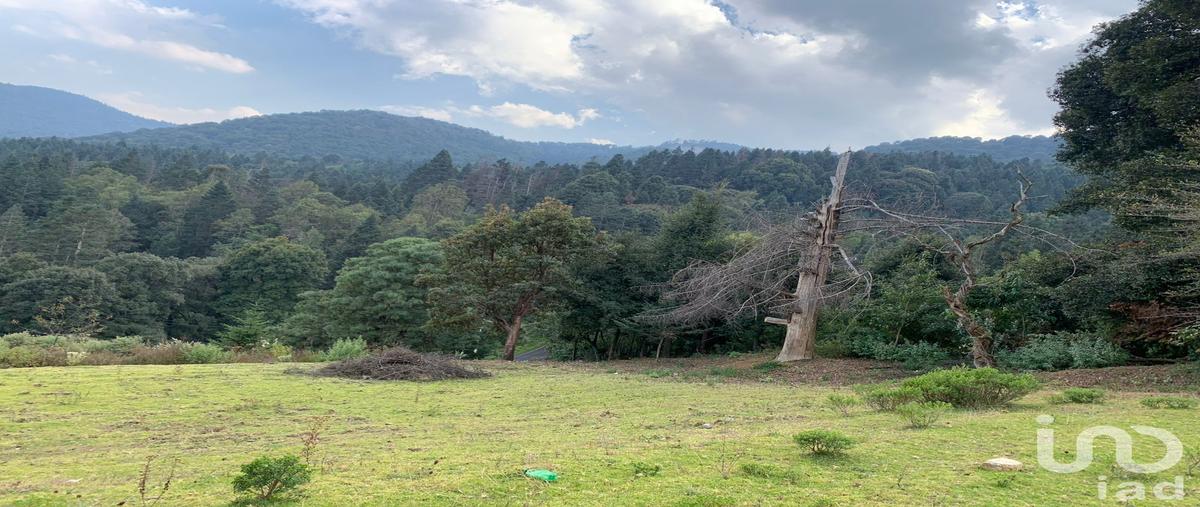 Foto de terreno habitacional en dangu , santa maría mazatla, jilotzingo, méxico, 30163523 foto 01 Foto de terreno habitacional en venta en dangu , santa maría mazatla, jilotzingo, méxico, 30163523 No. 01