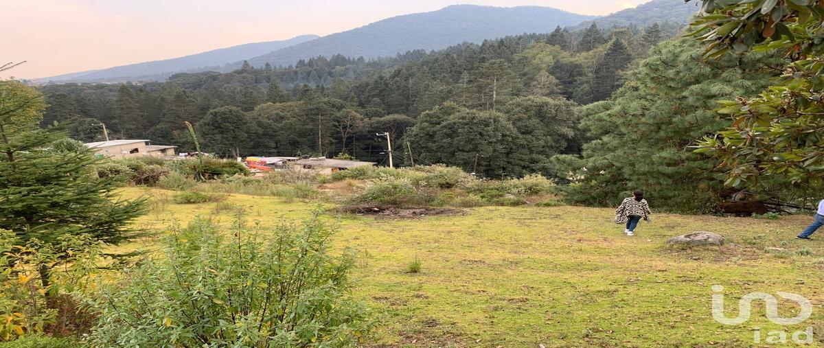 Foto de terreno habitacional en dangu , santa maría mazatla, jilotzingo, méxico, 30163523 foto 04 Foto de terreno habitacional en venta en dangu , santa maría mazatla, jilotzingo, méxico, 30163523 No. 04