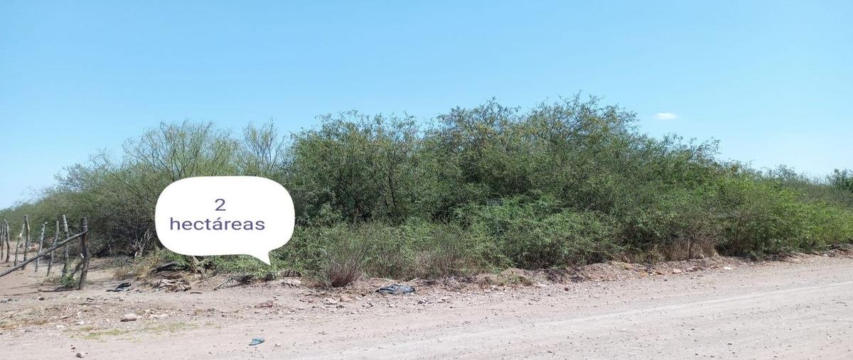 Foto de terreno habitacional en venta en  , daniel biul ruelas, ahome, sinaloa, 21600117 No. 01