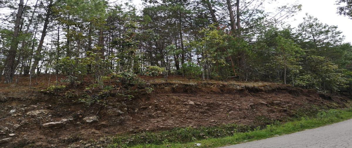 Foto de terreno habitacional en venta en daniel sarmiento rojas , los alcanfores, san cristóbal de las casas, chiapas, 0 No. 03