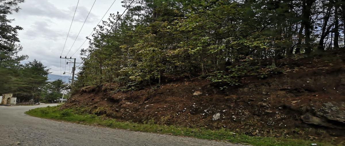 Foto de terreno habitacional en venta en daniel sarmiento rojas , los alcanfores, san cristóbal de las casas, chiapas, 0 No. 04