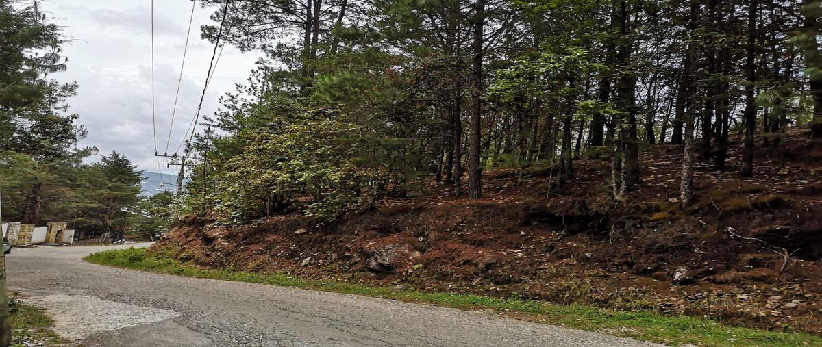 Foto de terreno habitacional en venta en daniel sarmiento rojas , los alcanfores, san cristóbal de las casas, chiapas, 0 No. 05