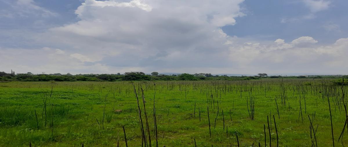 Foto de terreno habitacional en venta en  , dantzibojay, huichapan, hidalgo, 0 No. 04