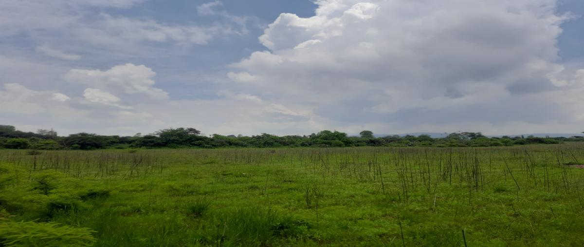 Foto de terreno habitacional en venta en  , dantzibojay, huichapan, hidalgo, 0 No. 05