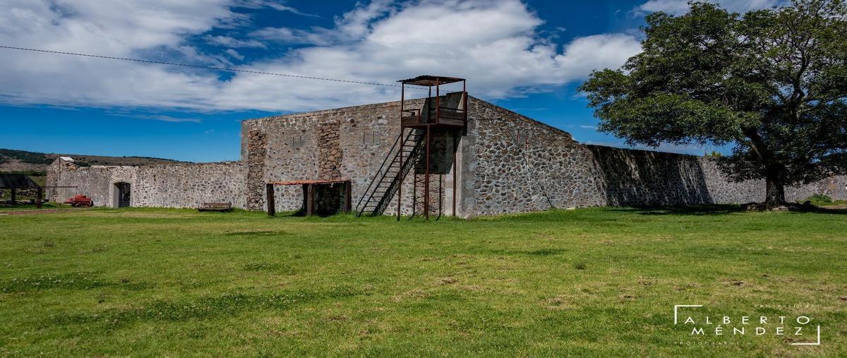 Foto de terreno habitacional en venta en  , dañu, nopala de villagrán, hidalgo, 0 No. 03