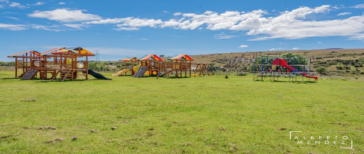 Foto de terreno habitacional en venta en  , dañu, nopala de villagrán, hidalgo, 0 No. 04