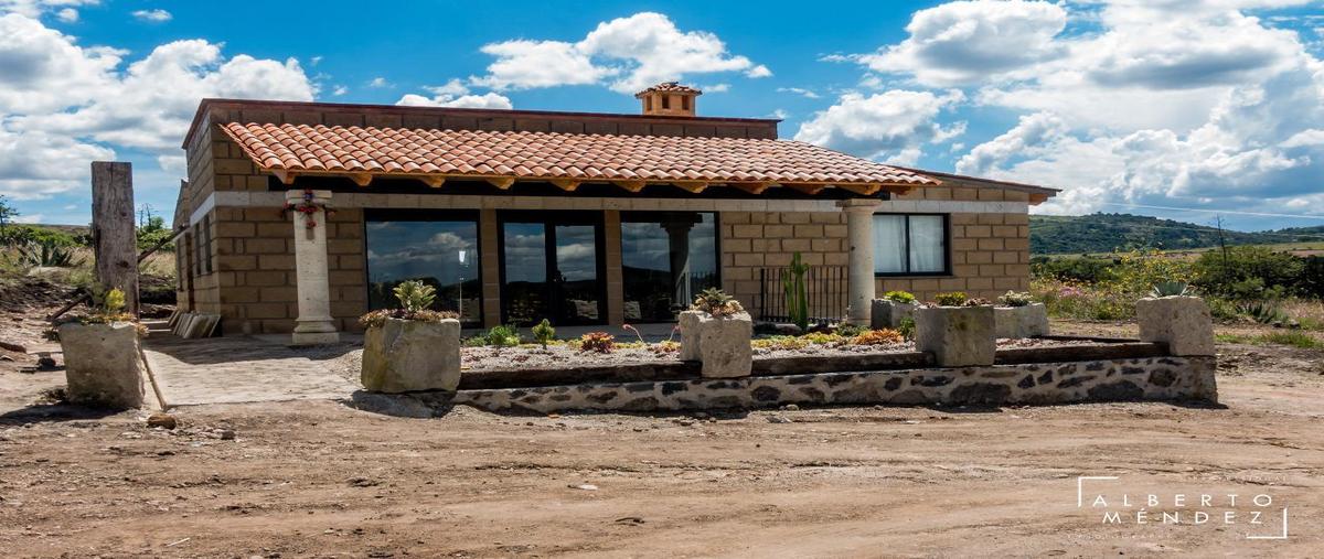 Foto de terreno habitacional en venta en  , dañu, nopala de villagrán, hidalgo, 0 No. 03