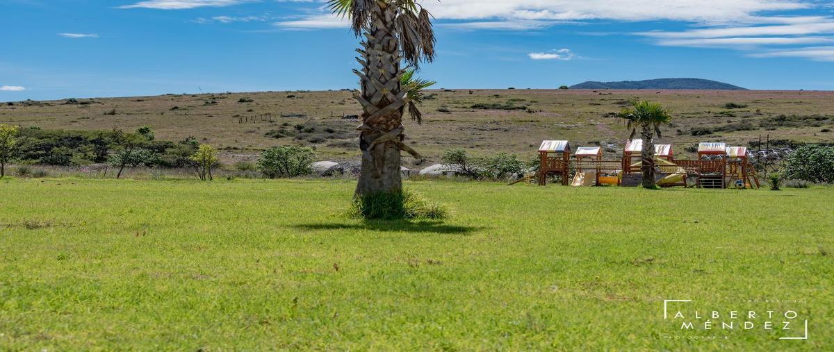 Foto de terreno habitacional en venta en  , dañu, nopala de villagrán, hidalgo, 0 No. 04