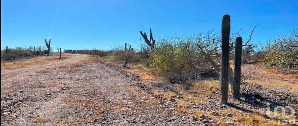 Foto de terreno habitacional en venta en de acceso , el centenario, la paz, baja california sur, 31676201 No. 05