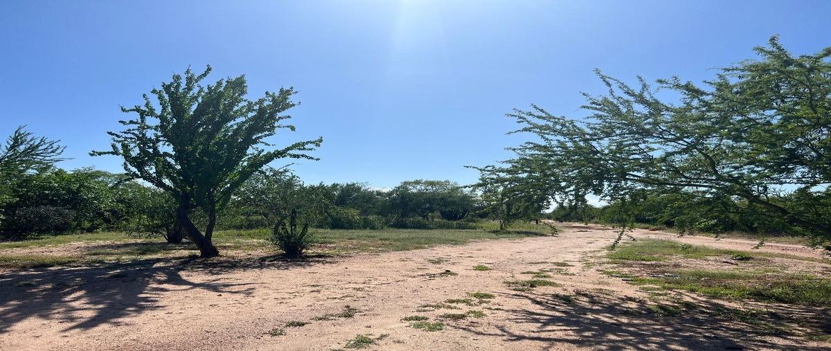 Foto de terreno habitacional en de acceso , san pedro, la paz, baja california sur, 0 foto 01 Foto de terreno habitacional en venta en de acceso , san pedro, la paz, baja california sur, 0 No. 01