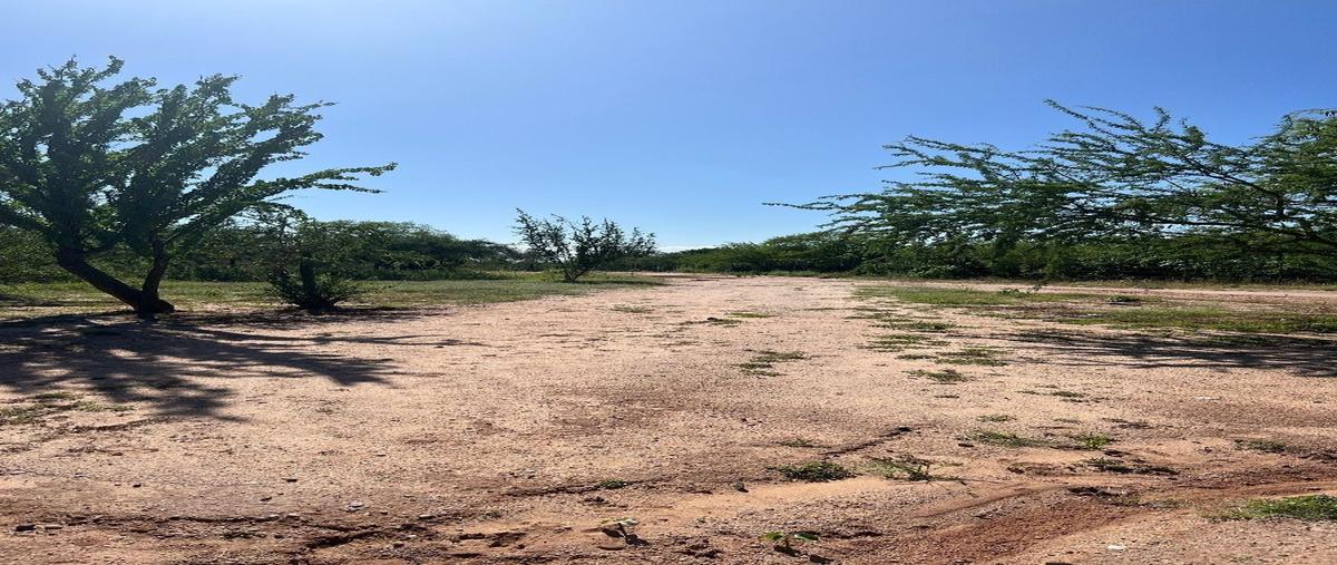 Foto de terreno habitacional en de acceso , san pedro, la paz, baja california sur, 0 foto 02 Foto de terreno habitacional en venta en de acceso , san pedro, la paz, baja california sur, 0 No. 02