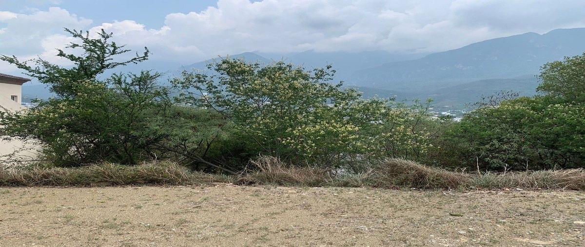 Foto de terreno habitacional en venta en de alondra , sierra alta 3er sector, monterrey, nuevo león, 0 No. 03
