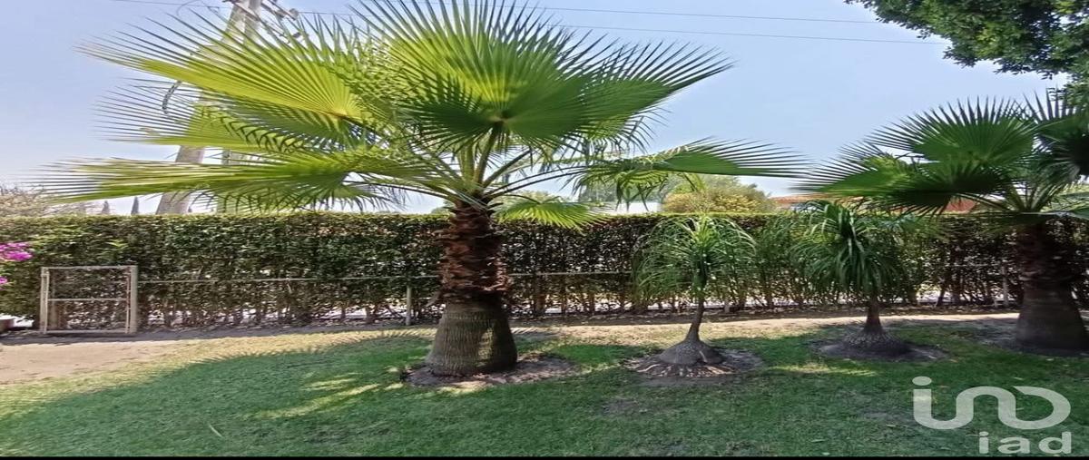 Foto de terreno habitacional en venta en de andres 1177, club de golf el cristo, atlixco, puebla, 30453625 No. 03