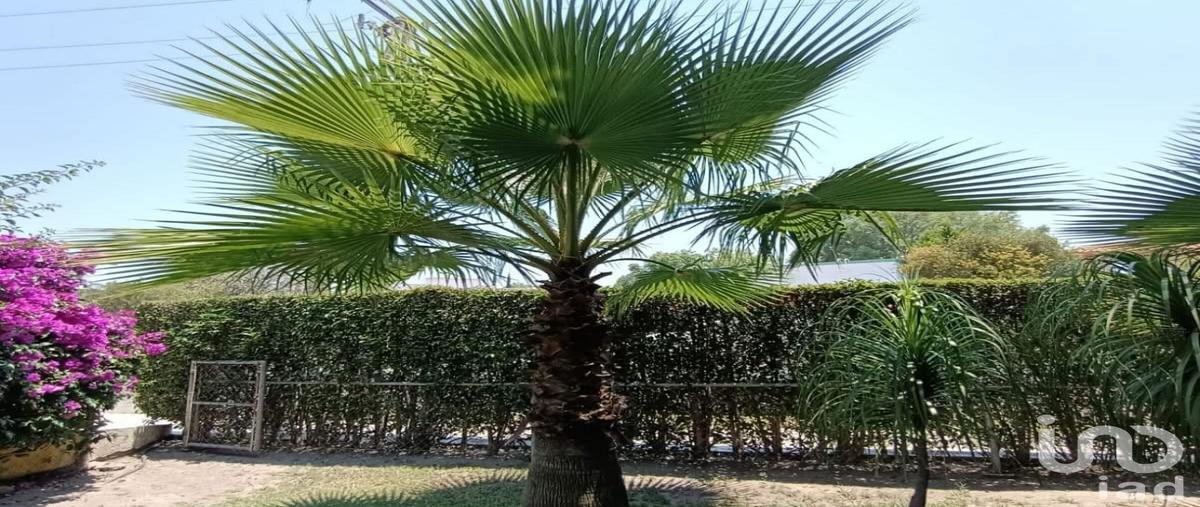 Foto de terreno habitacional en venta en de andres 1177, club de golf el cristo, atlixco, puebla, 30453625 No. 05