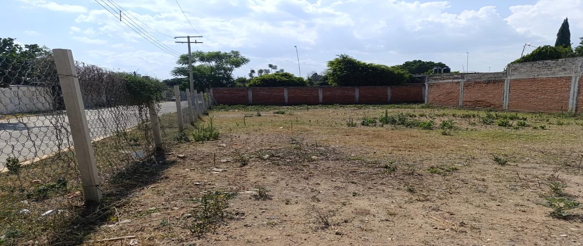Foto de terreno comercial en de industria , santa maria tocuela, ocotlán de morelos, oaxaca, 31519980 foto 07 Foto de terreno comercial en renta en de industria , santa maria tocuela, ocotlán de morelos, oaxaca, 31519980 No. 07