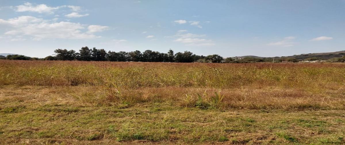 Foto de terreno comercial en venta en de la playa , lomas del pedregal, tlajomulco de zúñiga, jalisco, 0 No. 04