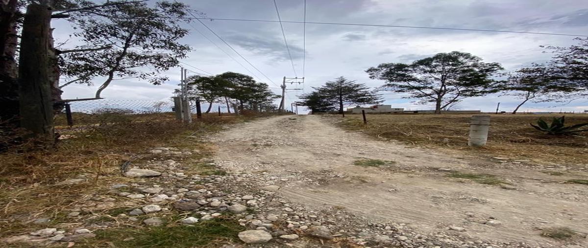 Foto de terreno habitacional en venta en de la rosa , san francisco magu, nicolás romero, méxico, 29947437 No. 05