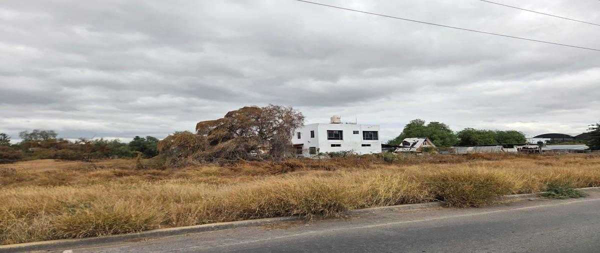 Foto de terreno habitacional en venta en  , de la saca, corregidora, querétaro, 0 No. 05