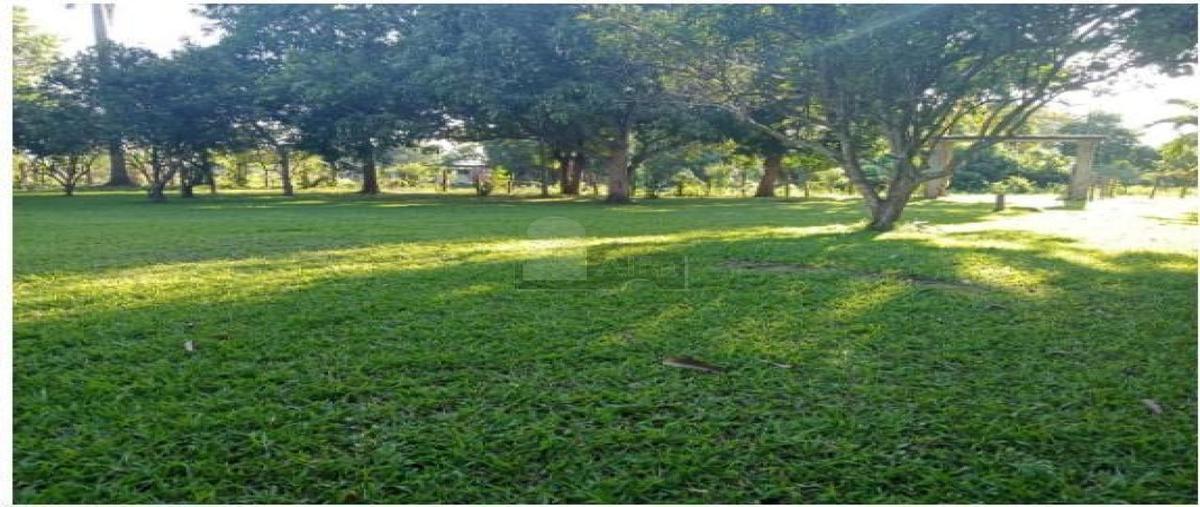 Foto de terreno habitacional en venta en de las bugambilias 1, boquerón 4a sección (laguna nueva), centro, tabasco, 30168908 No. 04