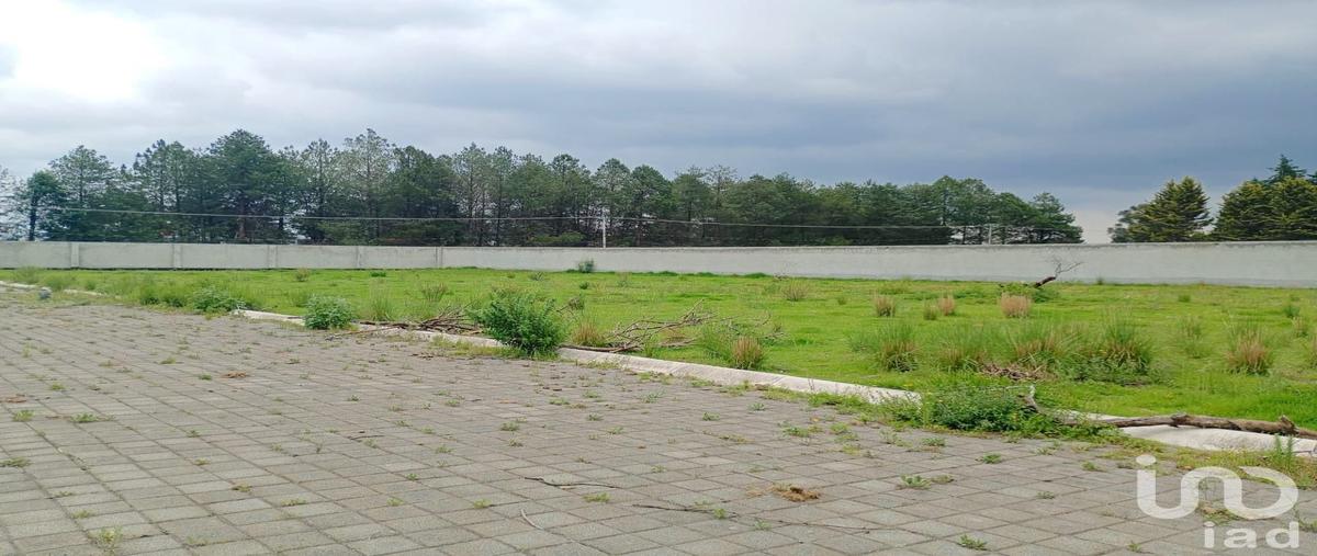 Foto de terreno habitacional en venta en de los cuervos 163, cacalomacán centro, toluca, méxico, 30083371 No. 05