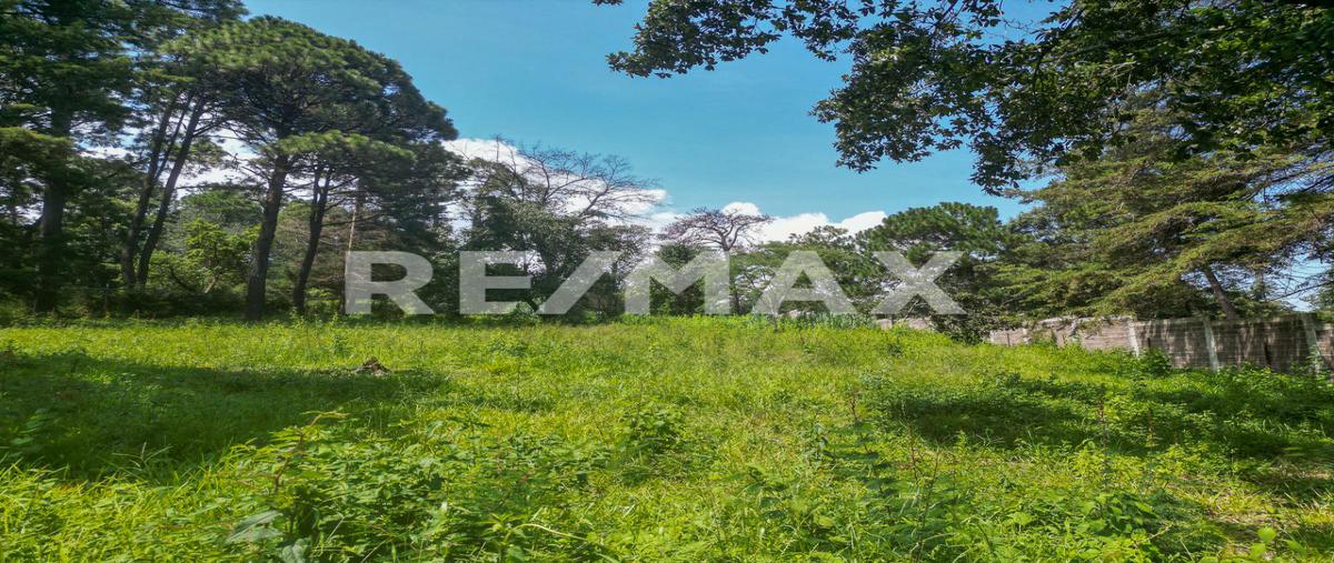 Foto de terreno habitacional en de los pinos , avándaro, valle de bravo, méxico, 0 foto 04 Foto de terreno habitacional en venta en de los pinos , avándaro, valle de bravo, méxico, 0 No. 04