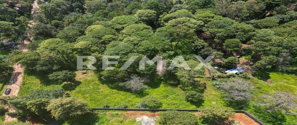 Foto de terreno habitacional en de los pinos , avándaro, valle de bravo, méxico, 0 foto 05 Foto de terreno habitacional en venta en de los pinos , avándaro, valle de bravo, méxico, 0 No. 05