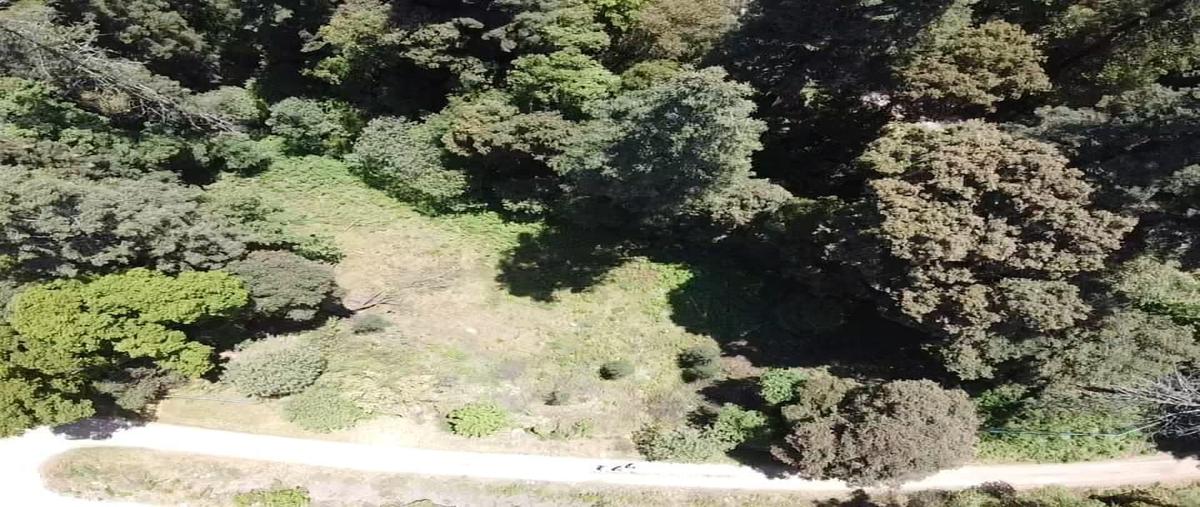 Foto de terreno comercial en venta en de los pinoshuixquilucan de salazar , cañada de alférez, lerma, méxico, 27443467 No. 03