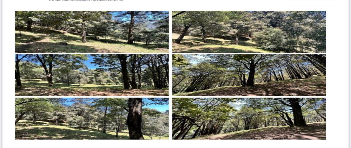 Foto de terreno comercial en venta en de los pinoshuixquilucan de salazar , cañada de alférez, lerma, méxico, 27443467 No. 04
