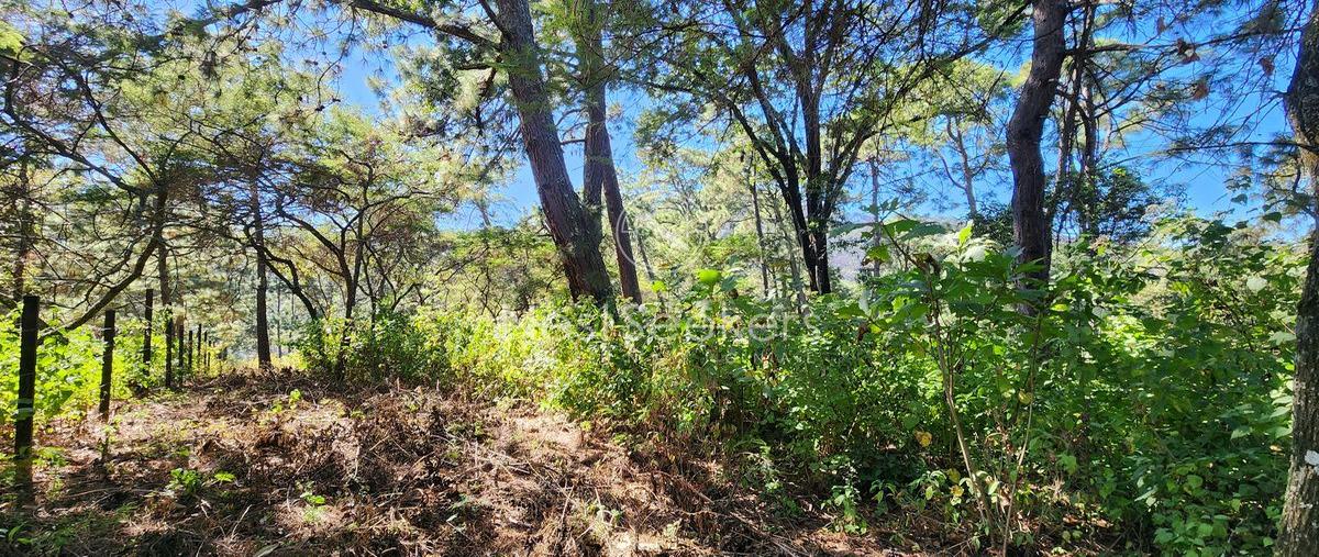 Foto de terreno habitacional en venta en de los pinospinares del lago , avándaro, valle de bravo, méxico, 0 No. 03