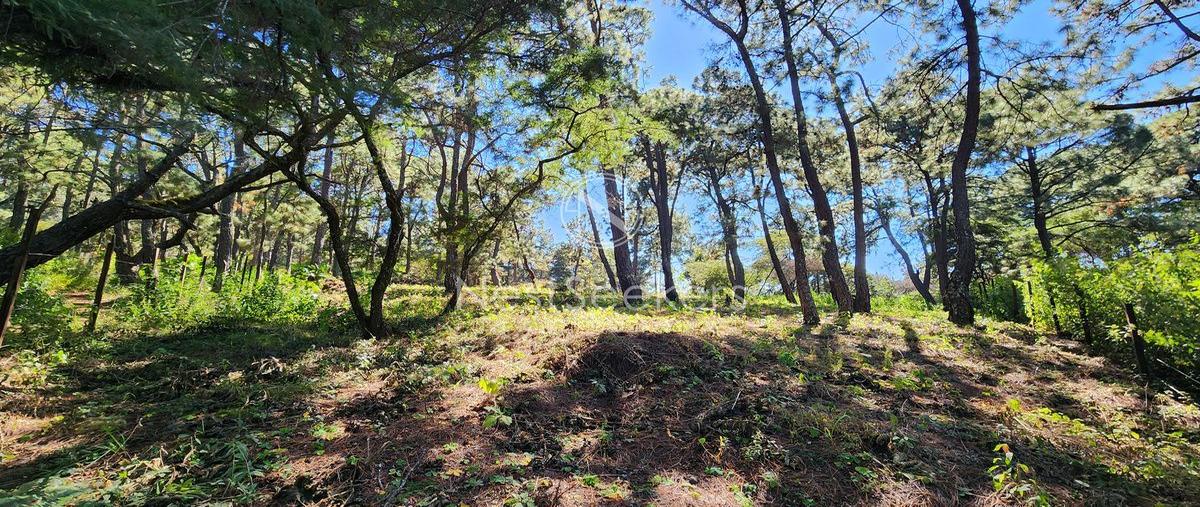 Foto de terreno habitacional en venta en de los pinospinares del lago , avándaro, valle de bravo, méxico, 0 No. 05