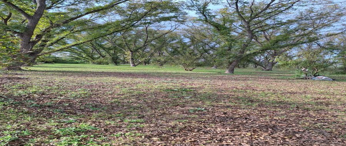 Foto de terreno comercial en de los remedios , tasquillo centro, tasquillo, hidalgo, 0 foto 02 Foto de terreno comercial en venta en de los remedios , tasquillo centro, tasquillo, hidalgo, 0 No. 02