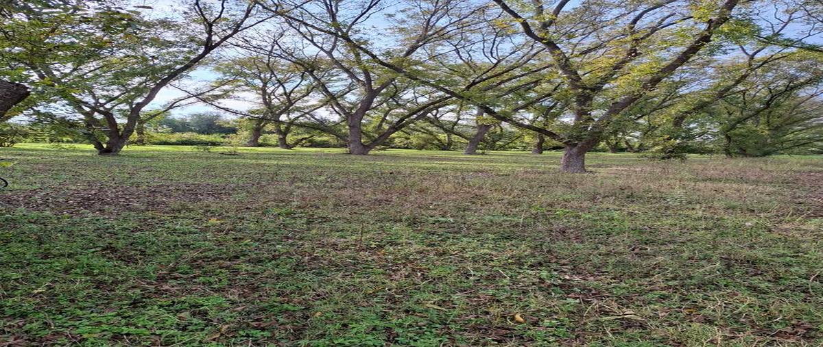 Foto de terreno comercial en de los remedios , tasquillo centro, tasquillo, hidalgo, 0 foto 05 Foto de terreno comercial en venta en de los remedios , tasquillo centro, tasquillo, hidalgo, 0 No. 05