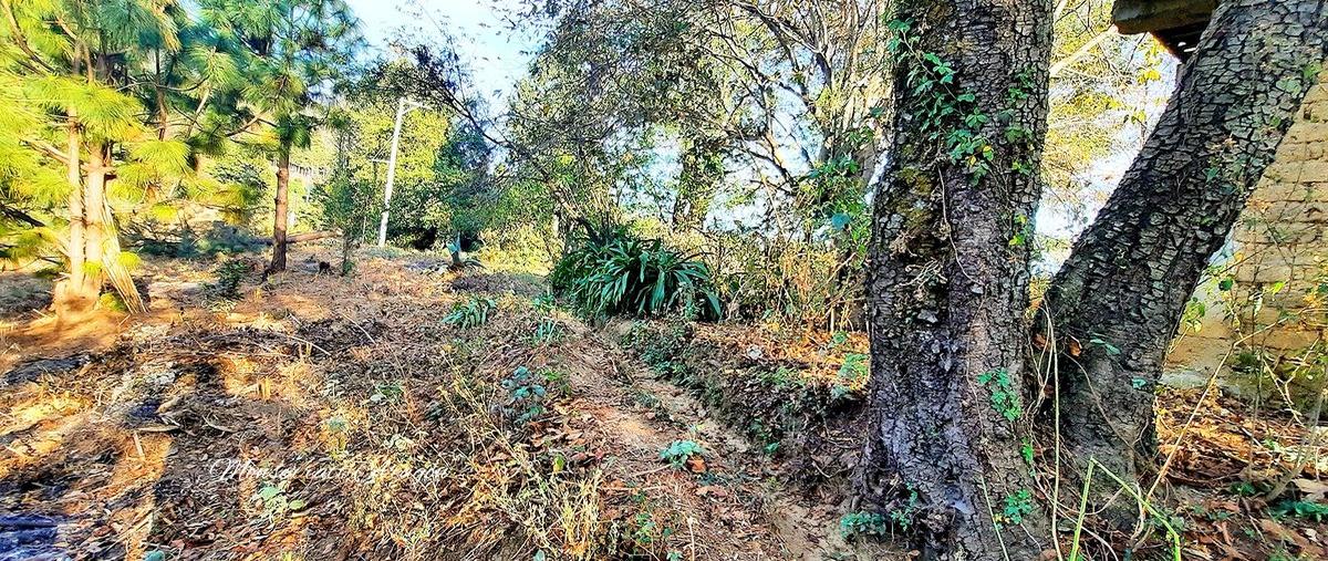 Foto de terreno habitacional en venta en de los topes , pipioltepec, valle de bravo, méxico, 25337354 No. 03