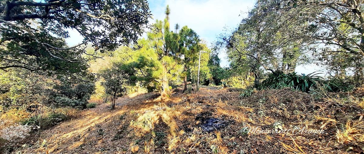 Foto de terreno habitacional en venta en de los topes , pipioltepec, valle de bravo, méxico, 25337354 No. 04