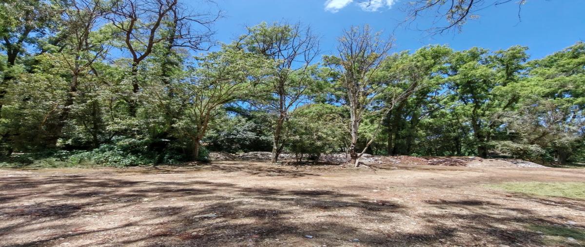 Foto de terreno habitacional en venta en  , de mexicanos, san cristóbal de las casas, chiapas, 0 No. 04