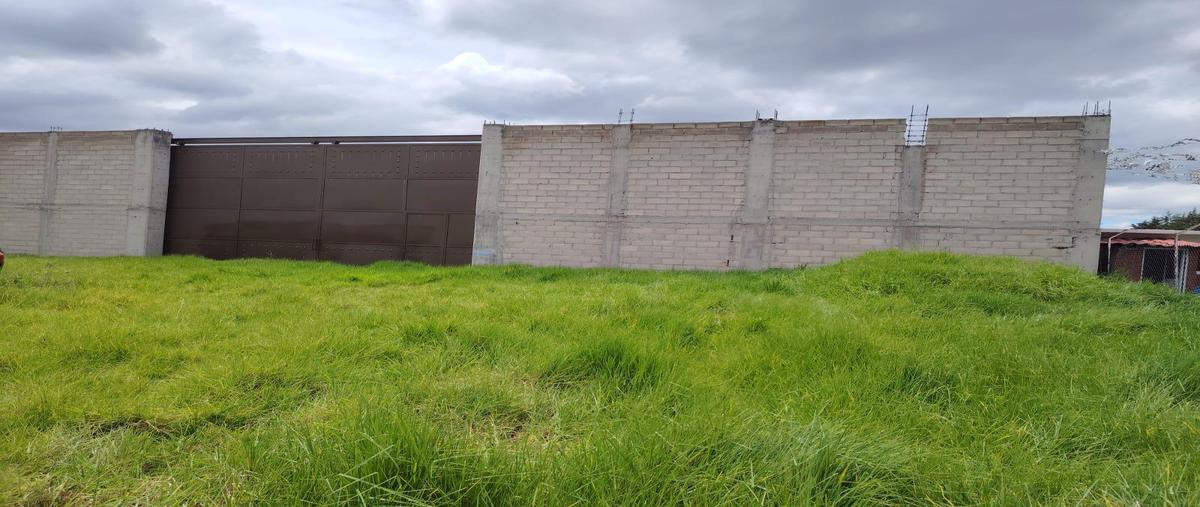 Foto de terreno habitacional en renta en  , de palmillas, toluca, méxico, 0 No. 05