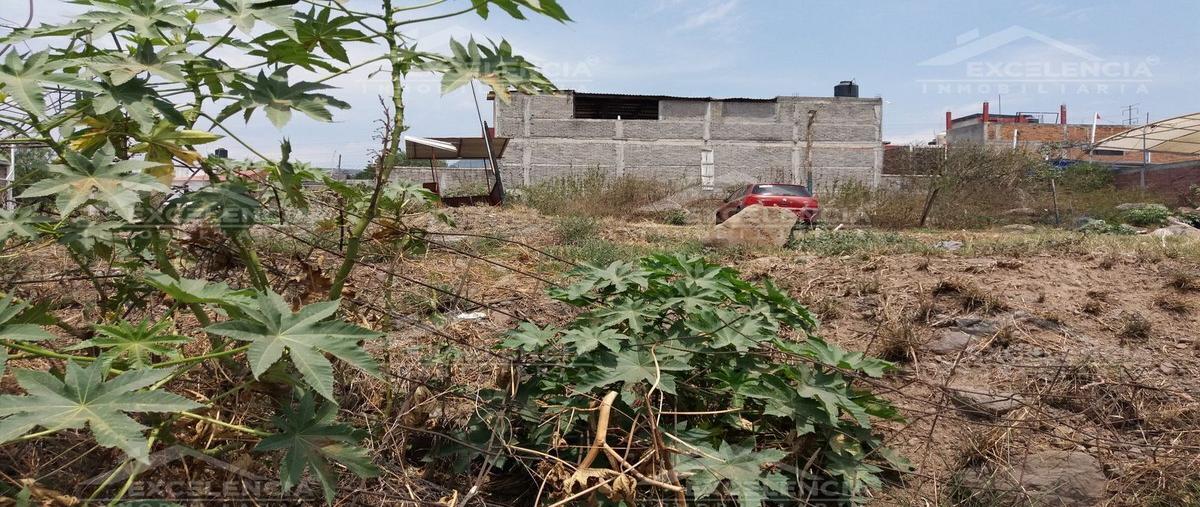 Foto de terreno habitacional en venta en  , defensores de puebla, morelia, michoacán de ocampo, 23546213 No. 05