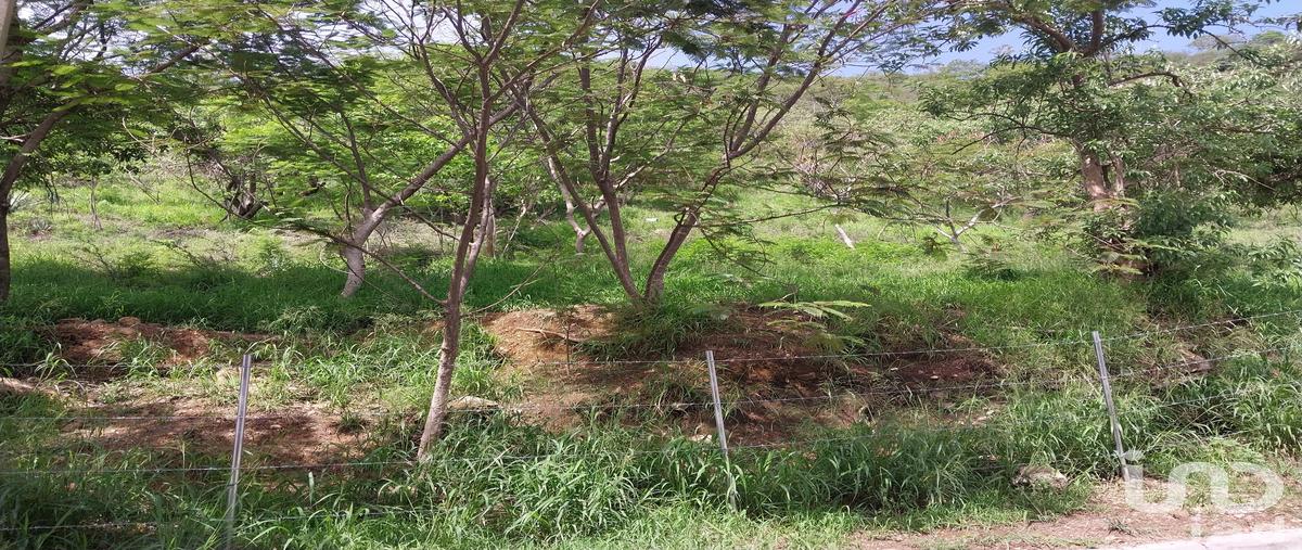 Foto de terreno habitacional en venta en del alhelÃ­ 271, lomas de antequera, oaxaca de juÃ¡rez, oaxaca, 31453769 No. 04