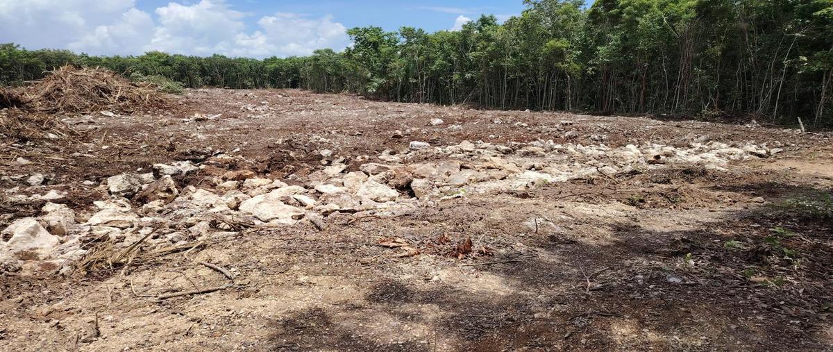 Foto de terreno habitacional en venta en  , del bosque, benito juárez, quintana roo, 0 No. 03